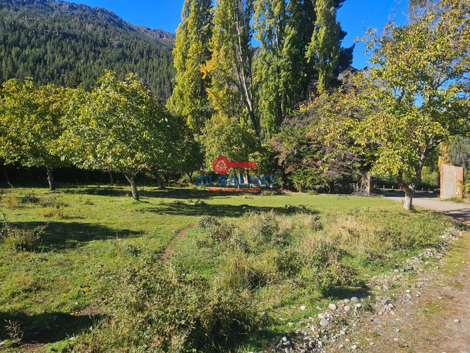 Hermosos lotes en Villa del Lago - 10