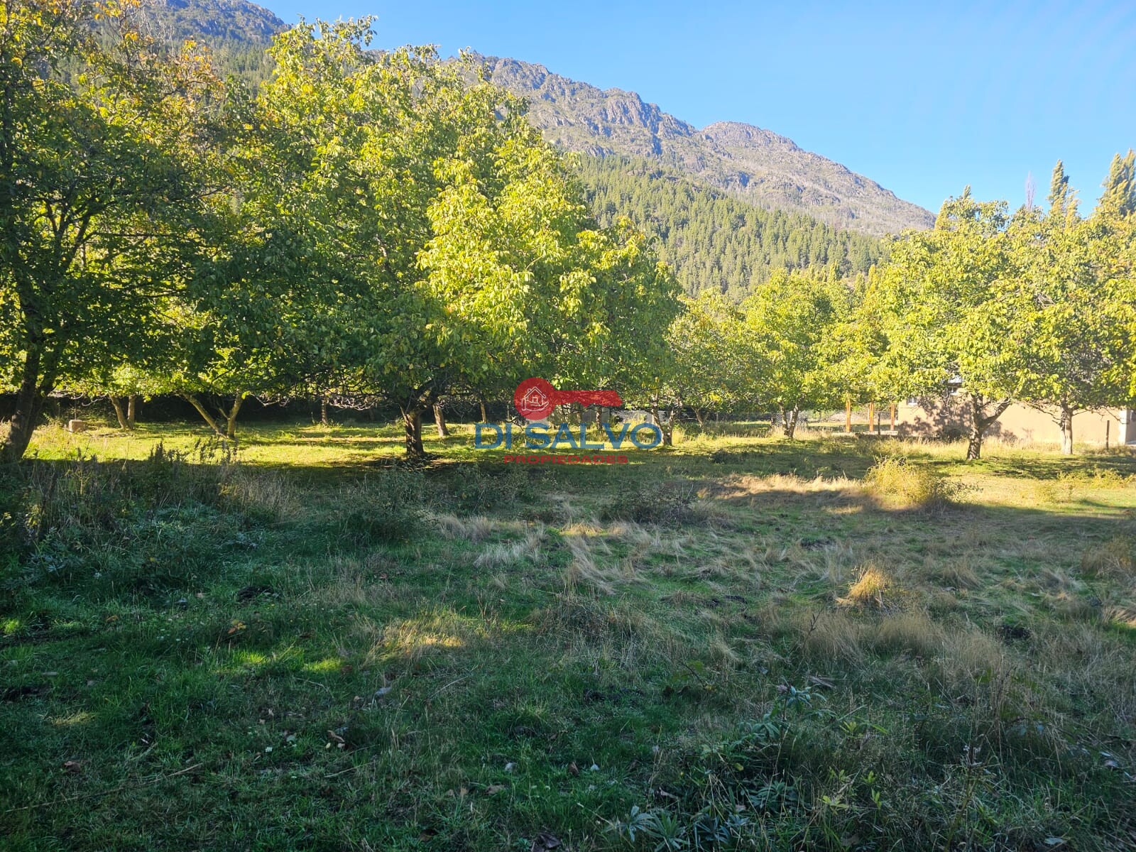Hermosos lotes en Villa del Lago - 4