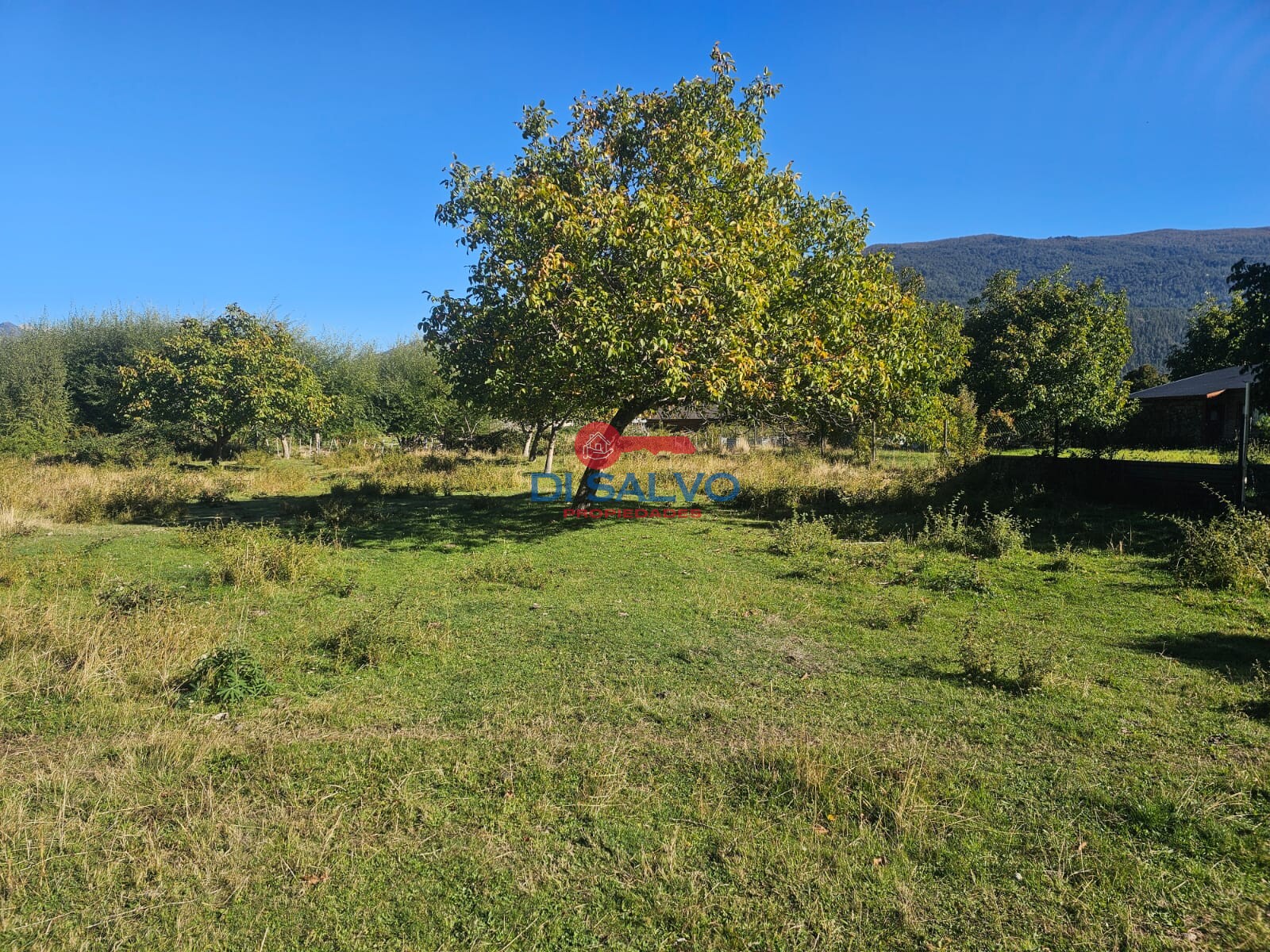 Hermosos lotes en Villa del Lago - 13