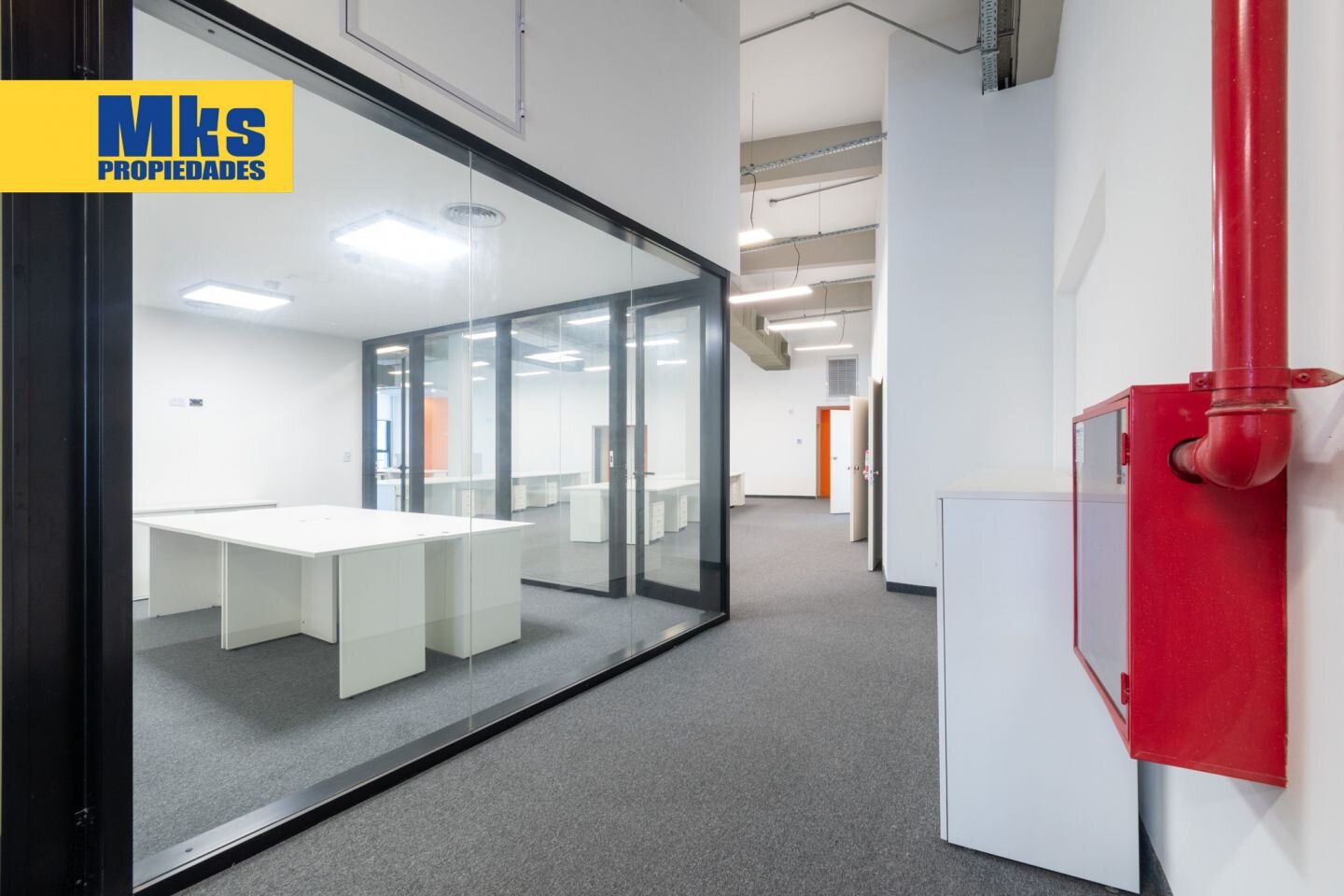 Alquiler. Oficinas. Polo tecnologico, Parque Patricios. Terraza. - 12