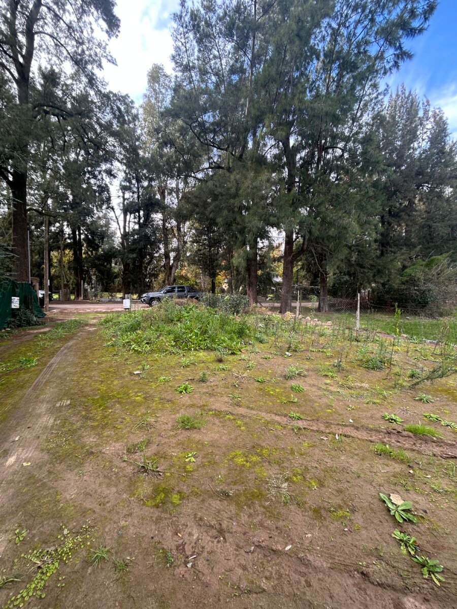 VTA DE LOTE CON MEJORAS-Barrio Pque. La Esmeralda- PILAR ofrece FINANCIACIÓN! - 3