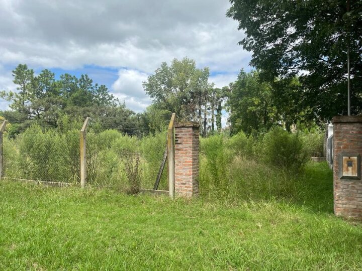 Terrenos - Villa Amelia - Venta