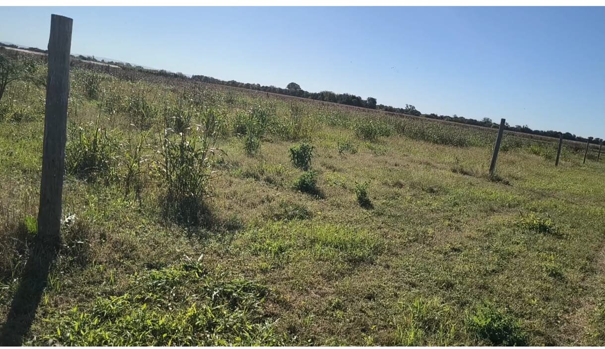 Terrenos en venta Villa Esquiu - Imagen 5