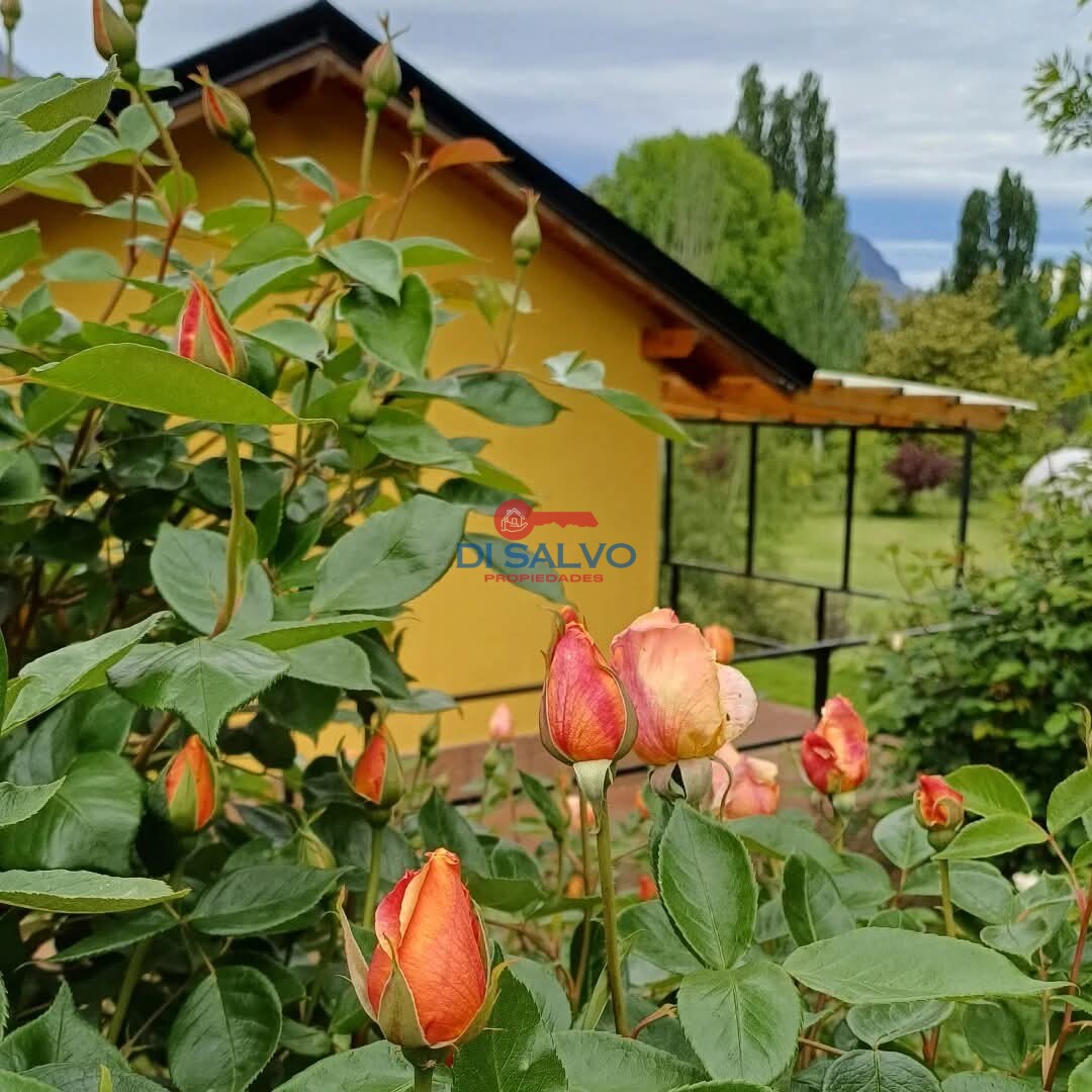 Complejo a la venta en Las Golondrinas, Lago Puelo - 3
