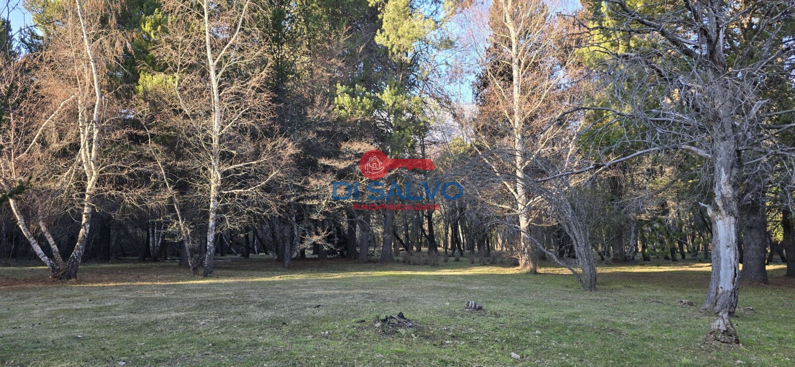 Propiedad en Venta: Exclusiva Chacra en Lago Puelo, Chubut - 38