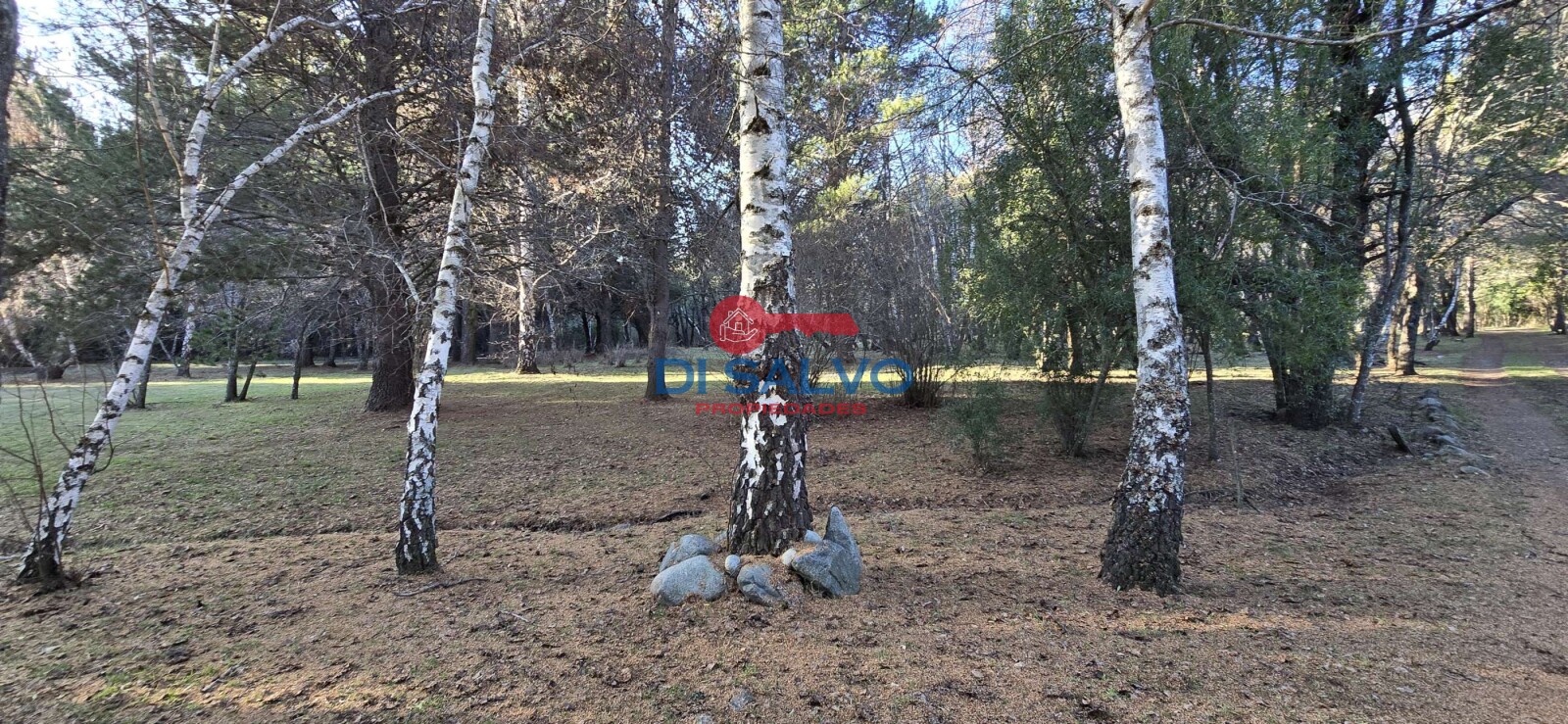 Propiedad en Venta: Exclusiva Chacra en Lago Puelo, Chubut - 24