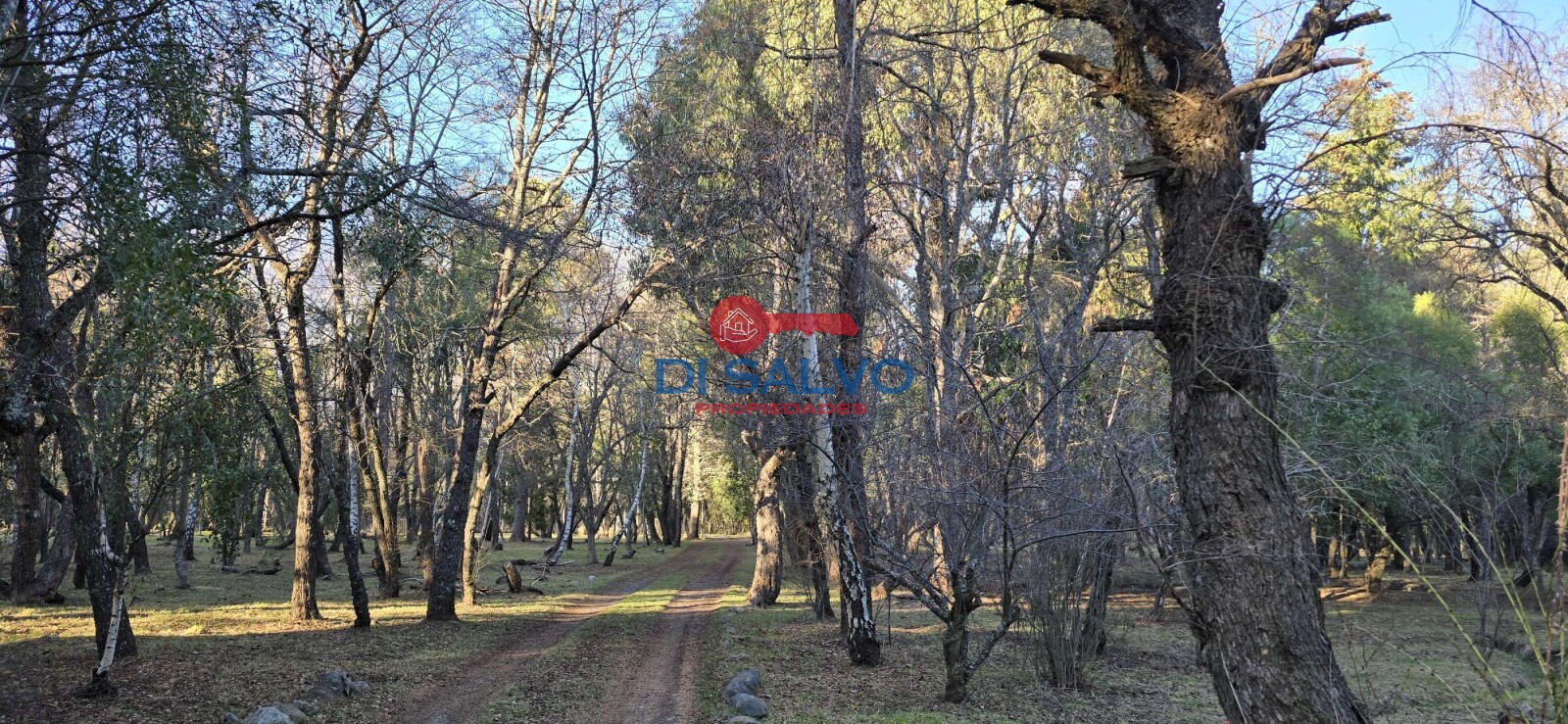 Propiedad en Venta: Exclusiva Chacra en Lago Puelo, Chubut - 34