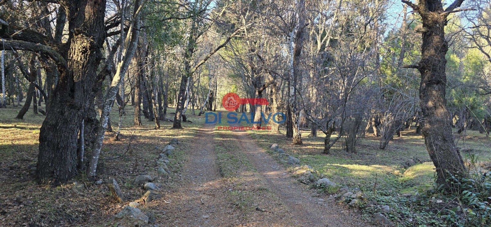 Propiedad en Venta: Exclusiva Chacra en Lago Puelo, Chubut - 65
