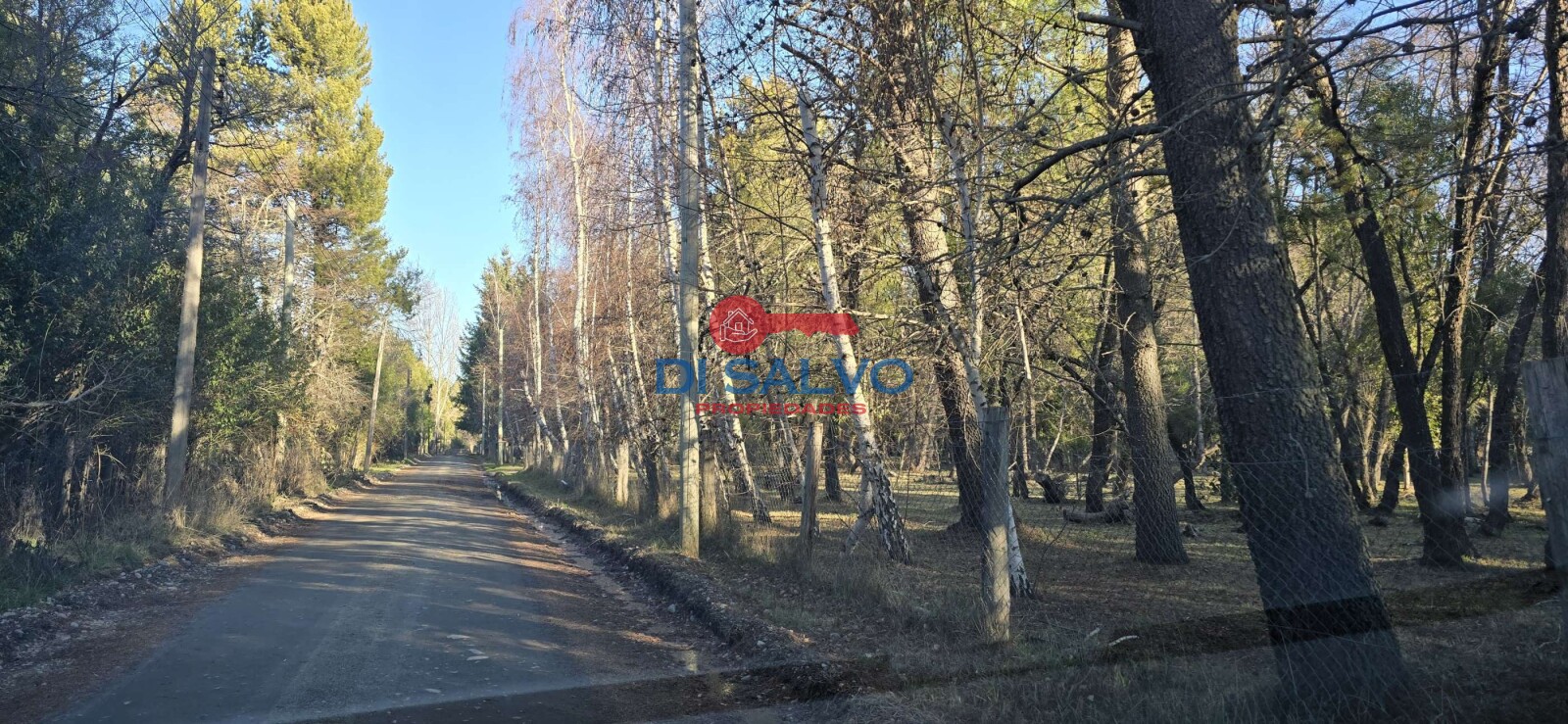 Propiedad en Venta: Exclusiva Chacra en Lago Puelo, Chubut - 11