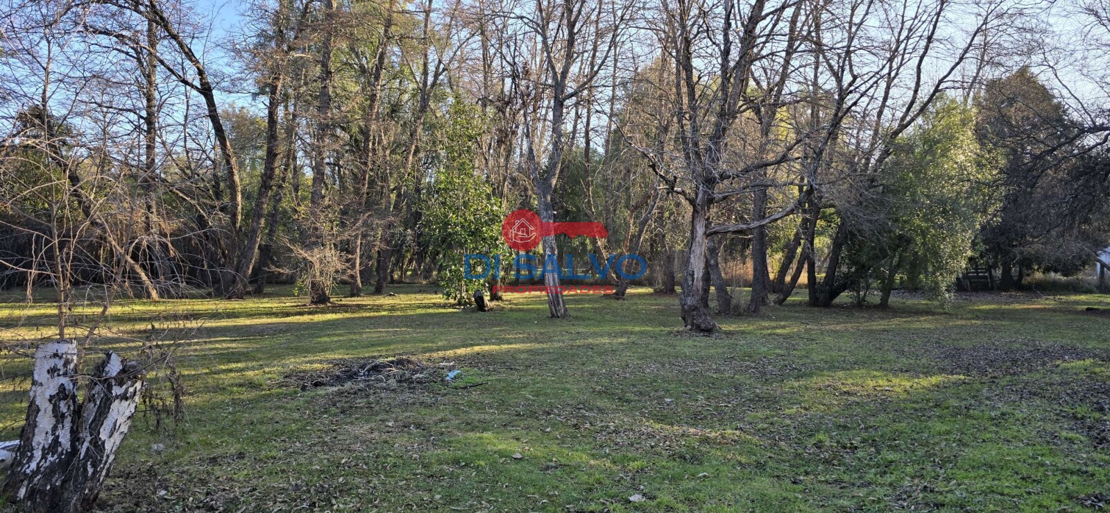 Propiedad en Venta: Exclusiva Chacra en Lago Puelo, Chubut - 64