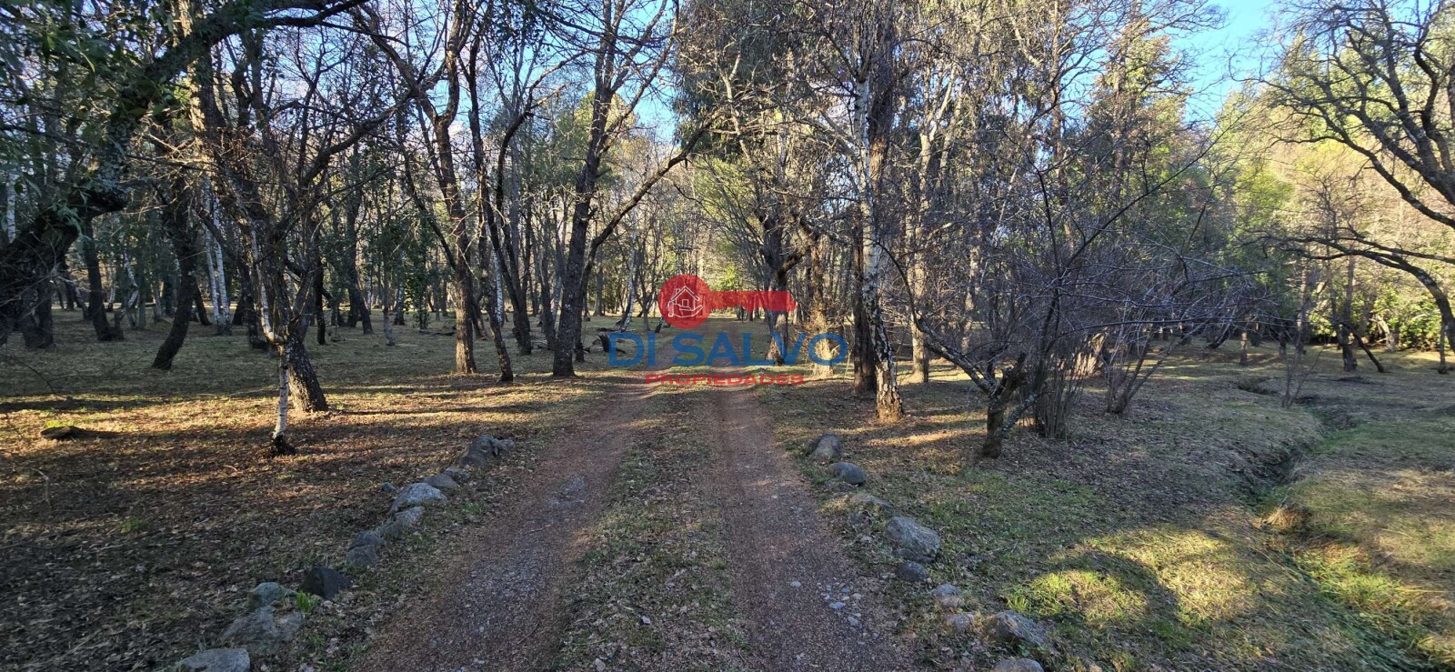 Propiedad en Venta: Exclusiva Chacra en Lago Puelo, Chubut - 7