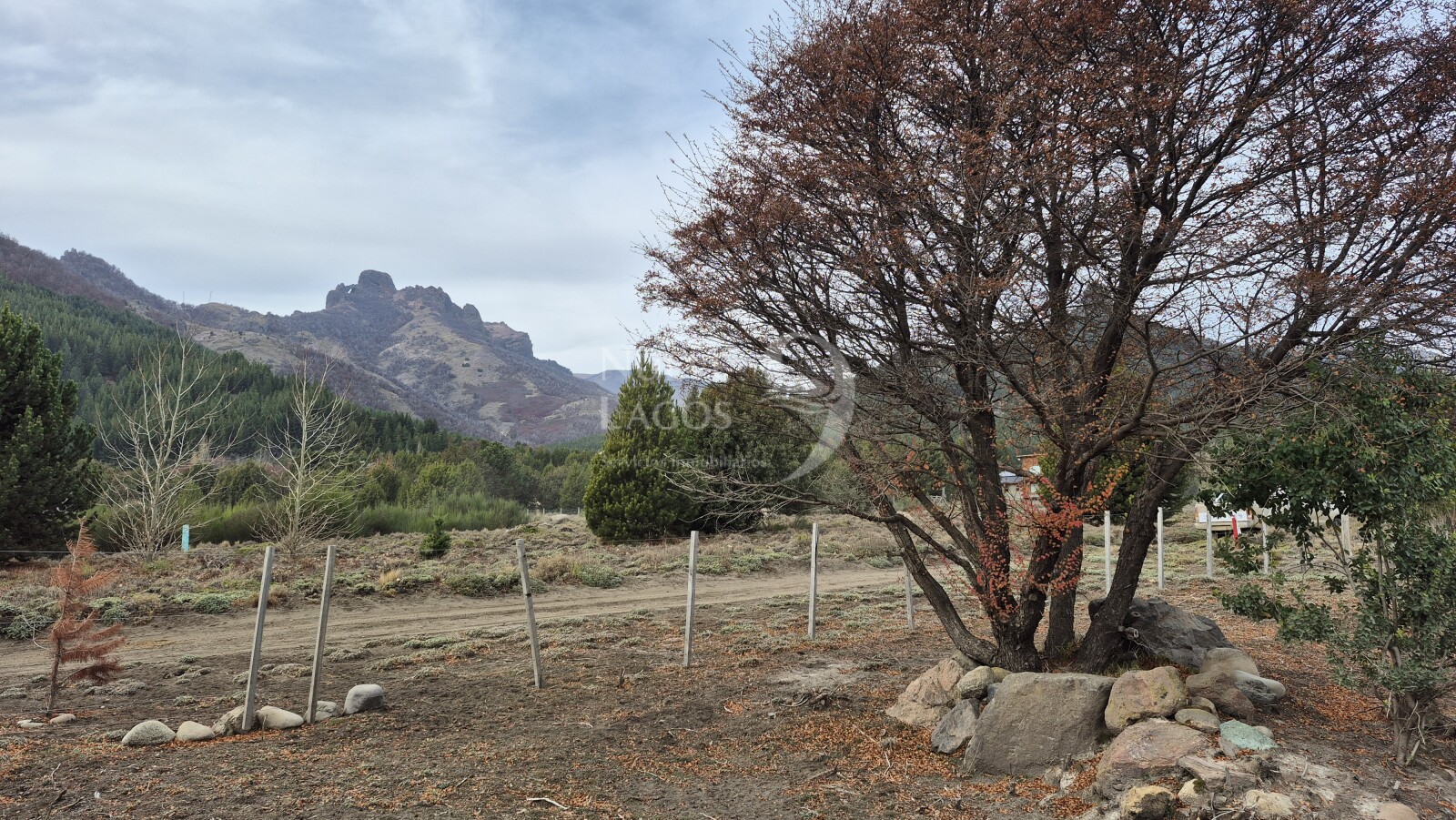 Venta lote en zona comercial frente a RP63 en Villa Lago Meliquina - 5