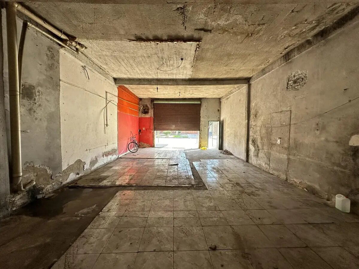 LOCALES COMERCIALES + DEPARTAMENTO + LOTE - 8