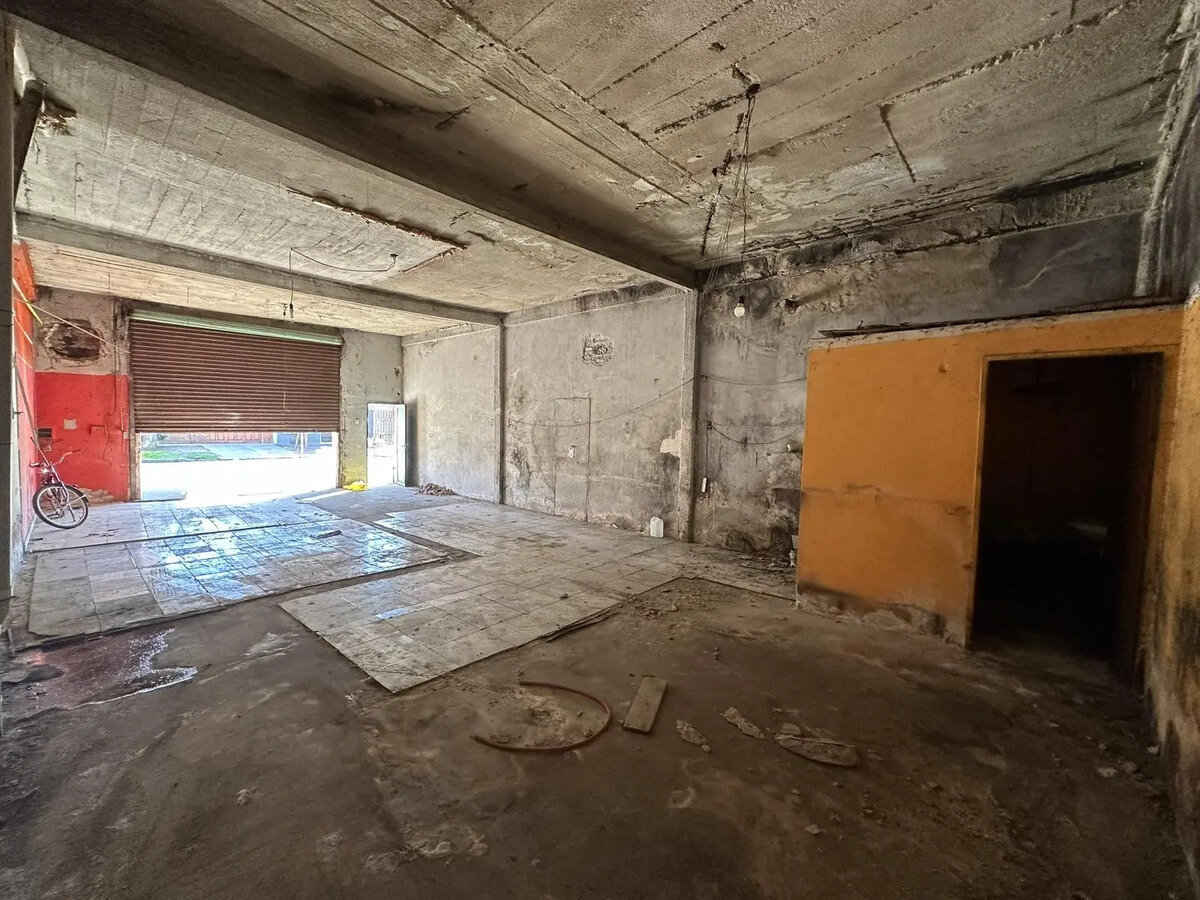 LOCALES COMERCIALES + DEPARTAMENTO + LOTE - 9