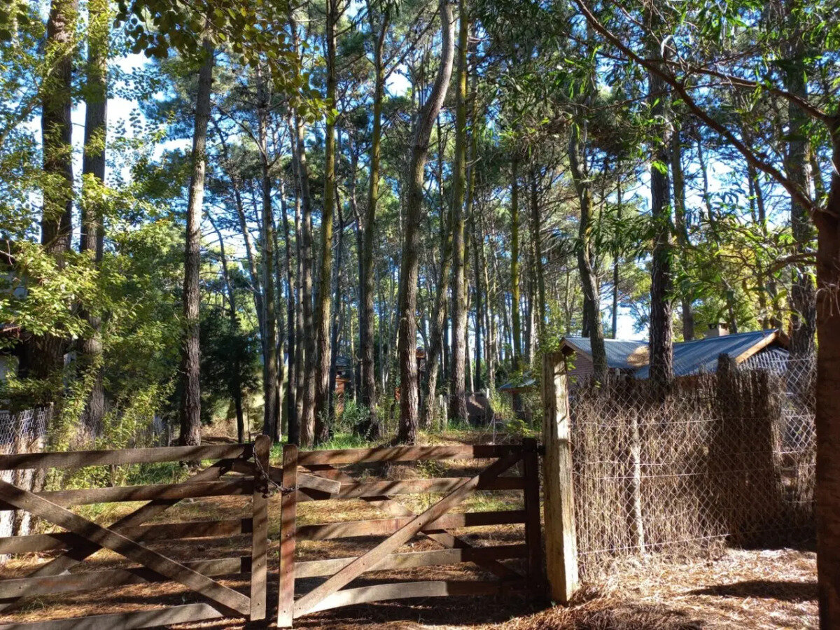 TERRENO DE 475M2 - 1