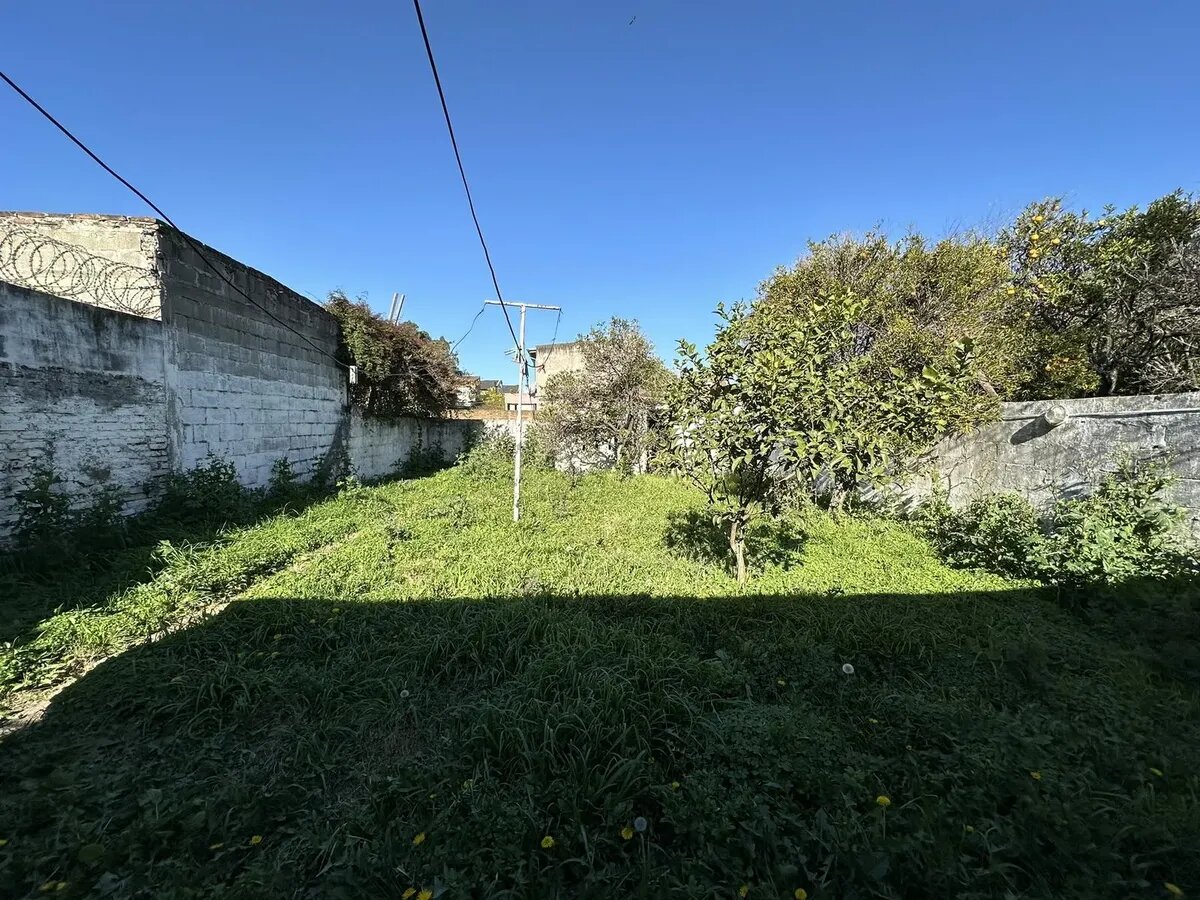 CASA - 19