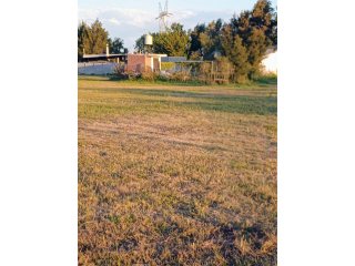 Terrenos - Ricardone - Venta