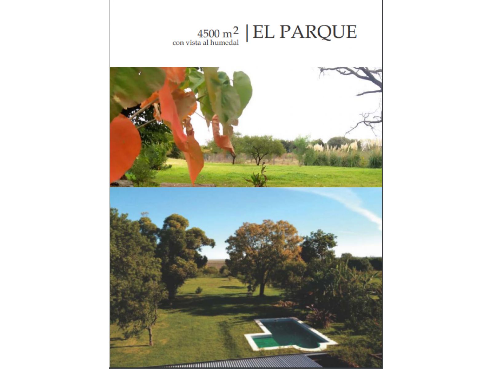 Esplendida Casa Con Amplio Jardín, Mas Casa De Invitados. Con Pileta. Barrio Quinto Cuartel - 4