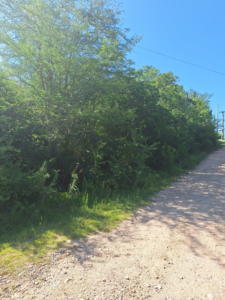 Lote en Venta Valle Hermoso - Imagen 5