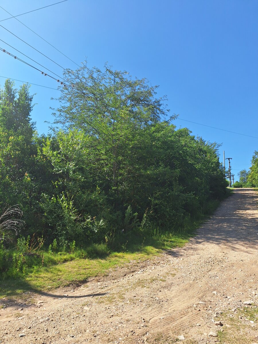 Lote en Venta Valle Hermoso - Imagen 4