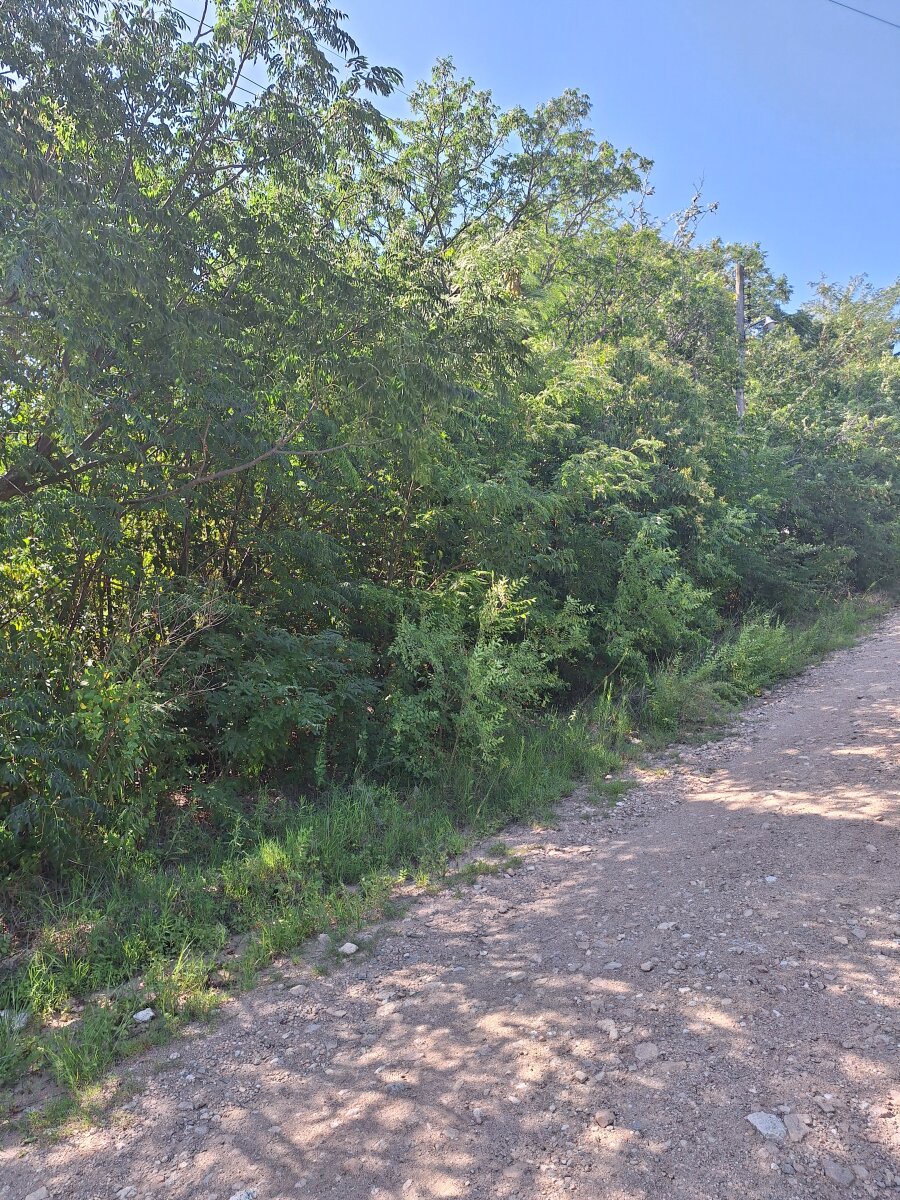 Lote en Venta Valle Hermoso - Imagen 12