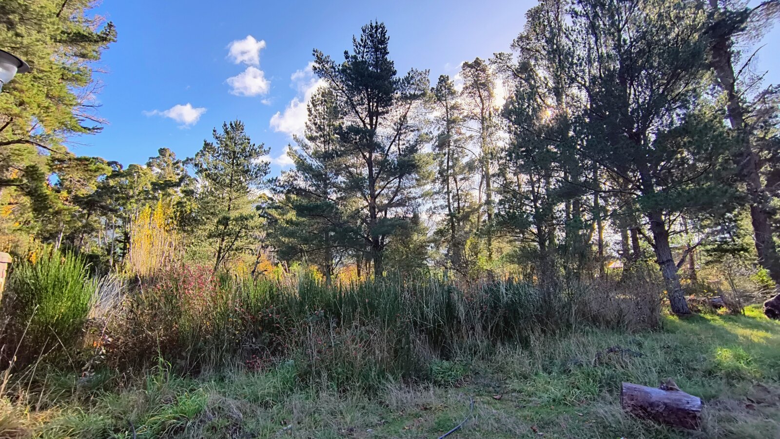 (KT006) Lotes en Lago Puelo - Loteo La Lidya- desde 1800 mt² - 5
