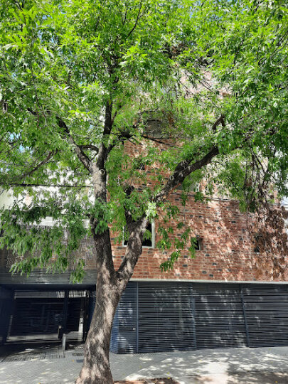 Departamentos - Rosario -  Alquiler