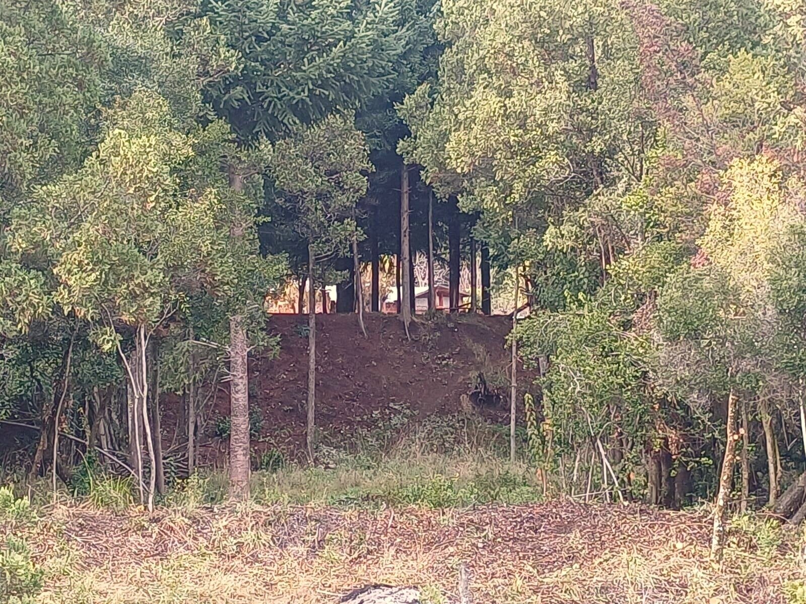 (KT005) Lotes en Lago Puelo -Loteo Terrazas del Blanco- Sobre ruta 16 - 22