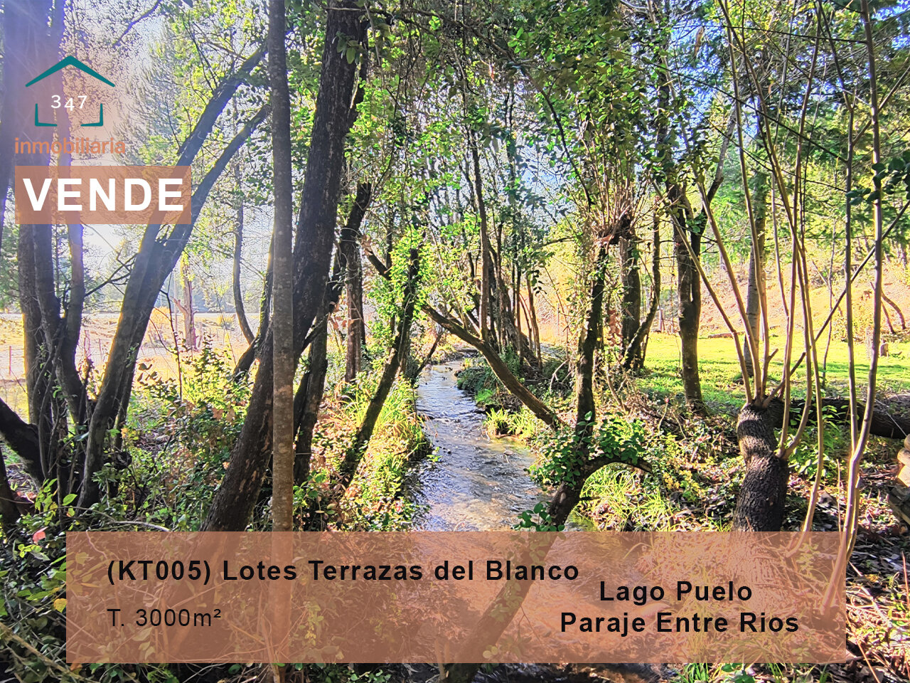 (KT005) Lotes en Lago Puelo -Loteo Terrazas del Blanco- Sobre ruta 16 - 1