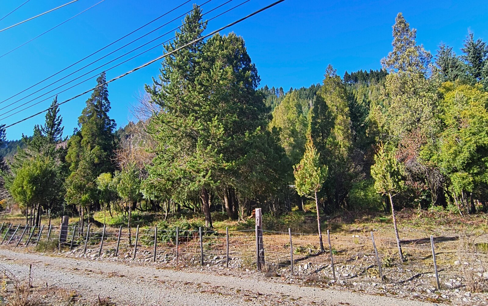 (KT005) Lotes en Lago Puelo -Loteo Terrazas del Blanco- Sobre ruta 16 - 20