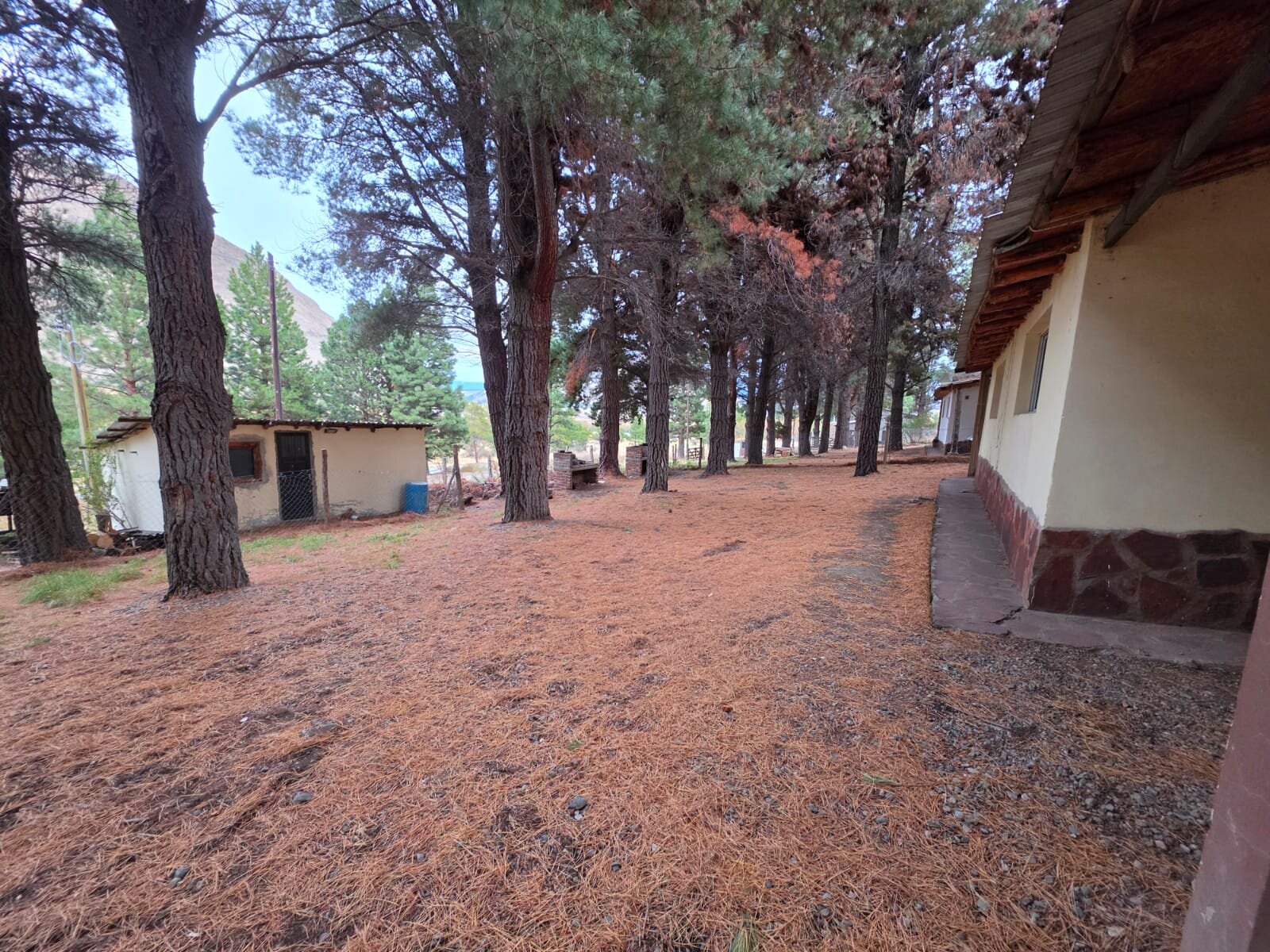 ALQUILER DE CASA EN ESQUEL CHUBUT - 3