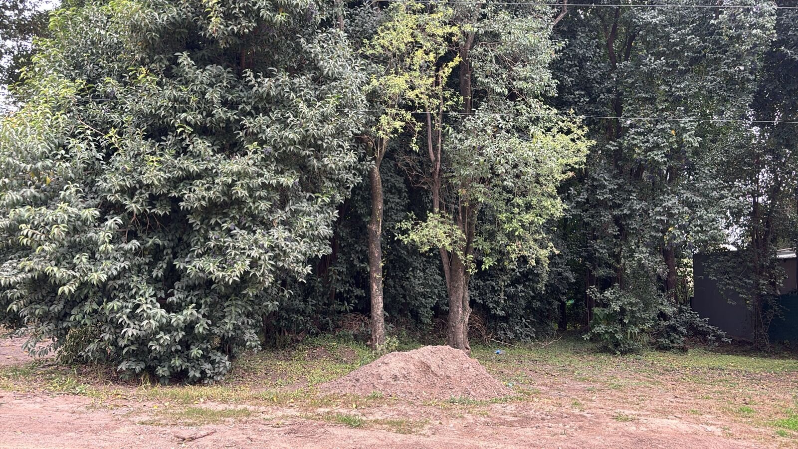 VENTA 2 LOTES  JUNTOS EN BARRIO VILLA CATALINA/RUTA53  CON ESCRITURA - Imagen 11