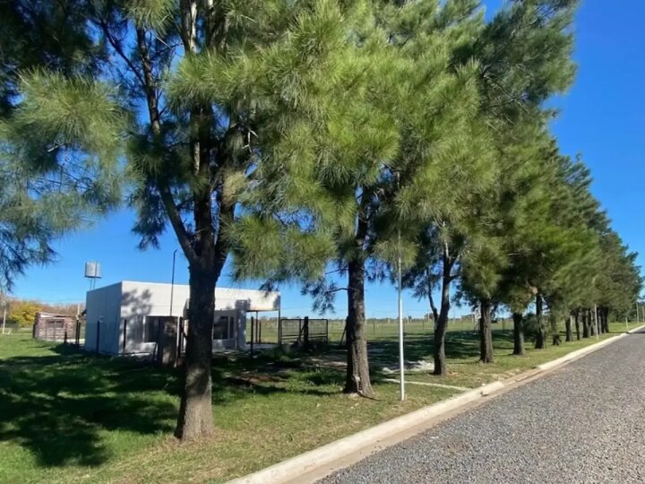 Terrenos - Iriondo - Venta