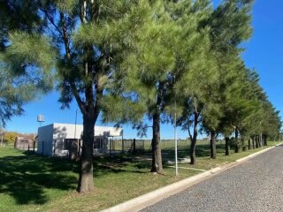 Terrenos - Iriondo - Venta