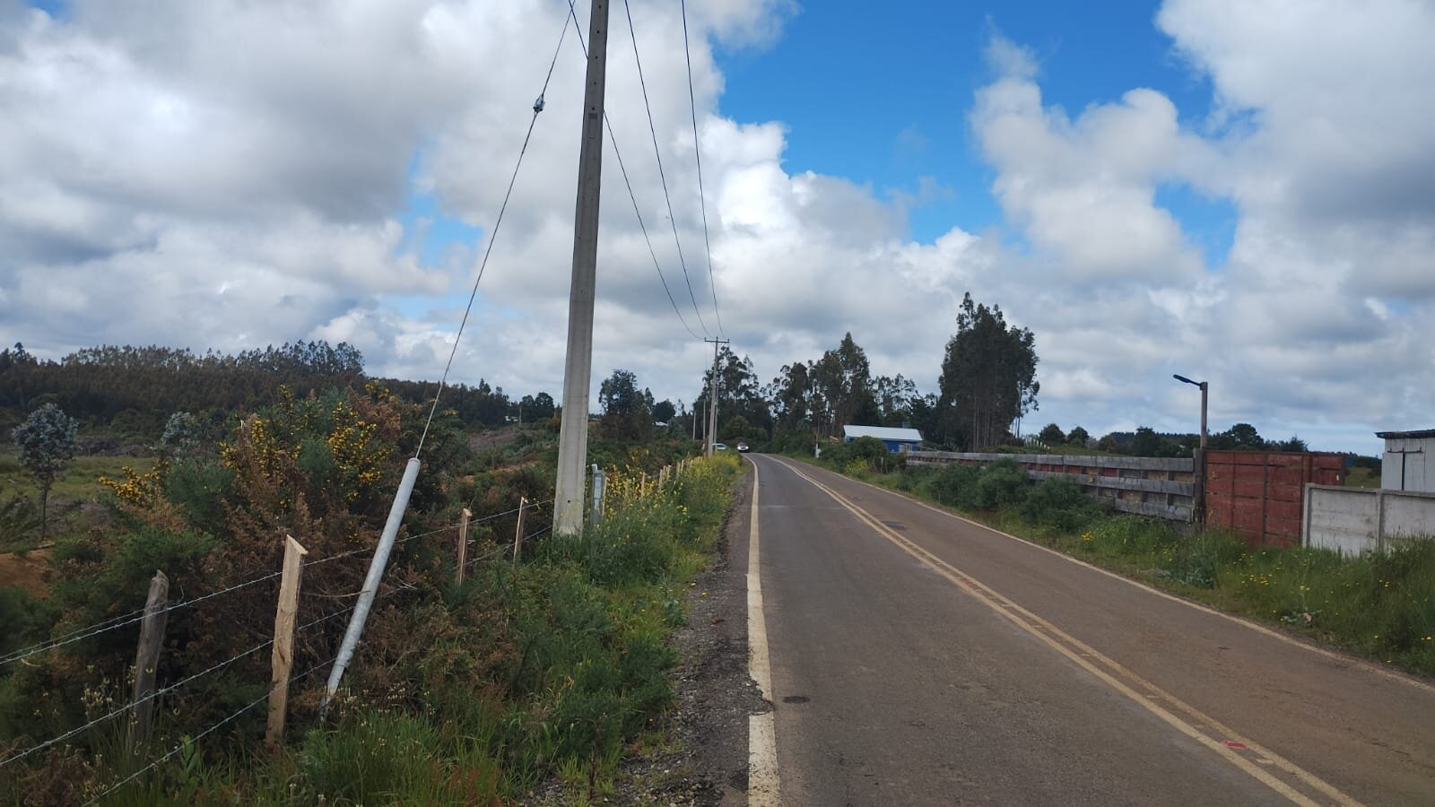 Gran terreno de 33 hectáreas en sector Pehuén, Lebu