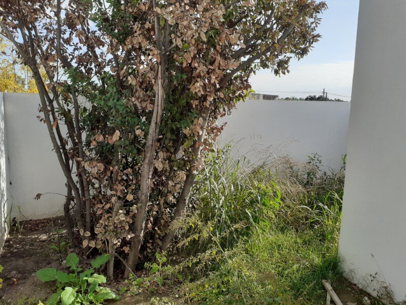 VENTA | Conjunto de viviendas y local comercial sobre amplio terreno! Abasolo, entre Berutti y Passo - 42