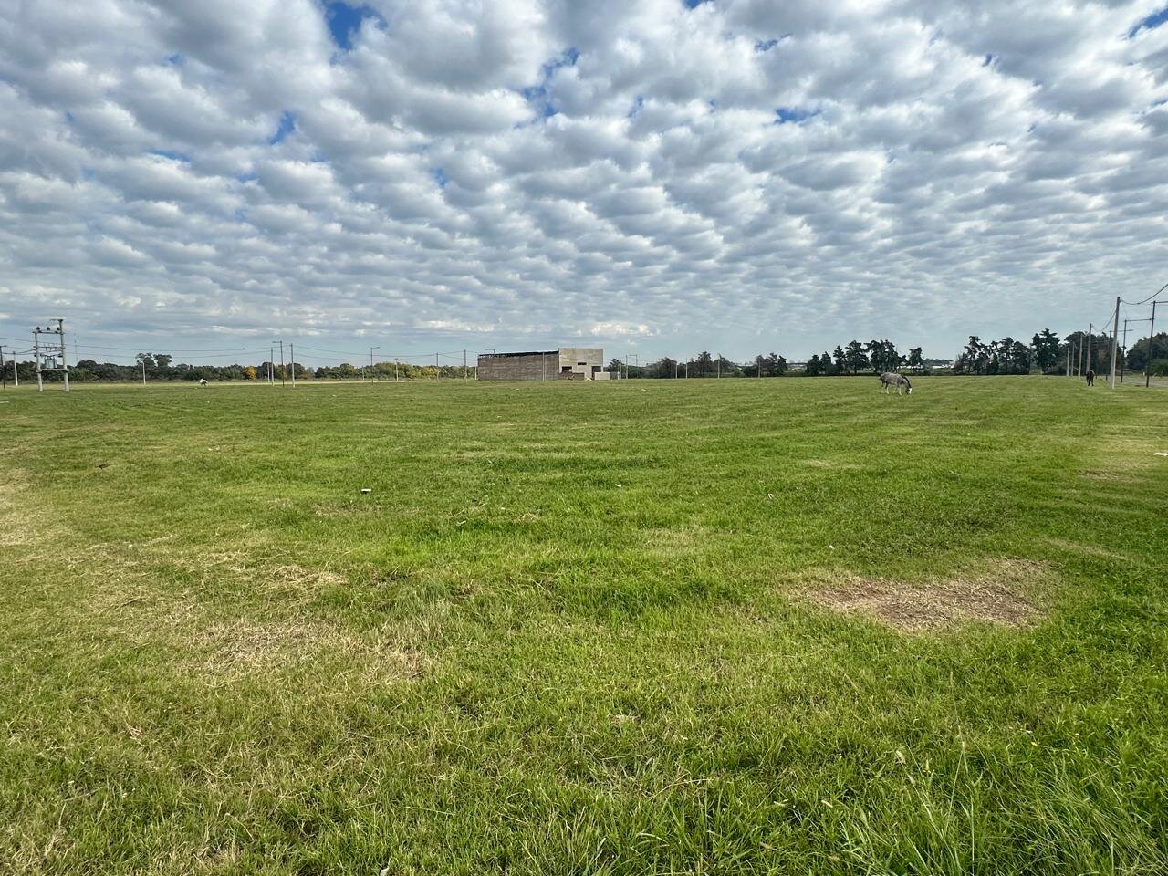 Venta terreno 650m2 en LOTEO INDUSTRIAL AREA UNO - ARROYO SECO - SANTA FE - Lote 26 - 27