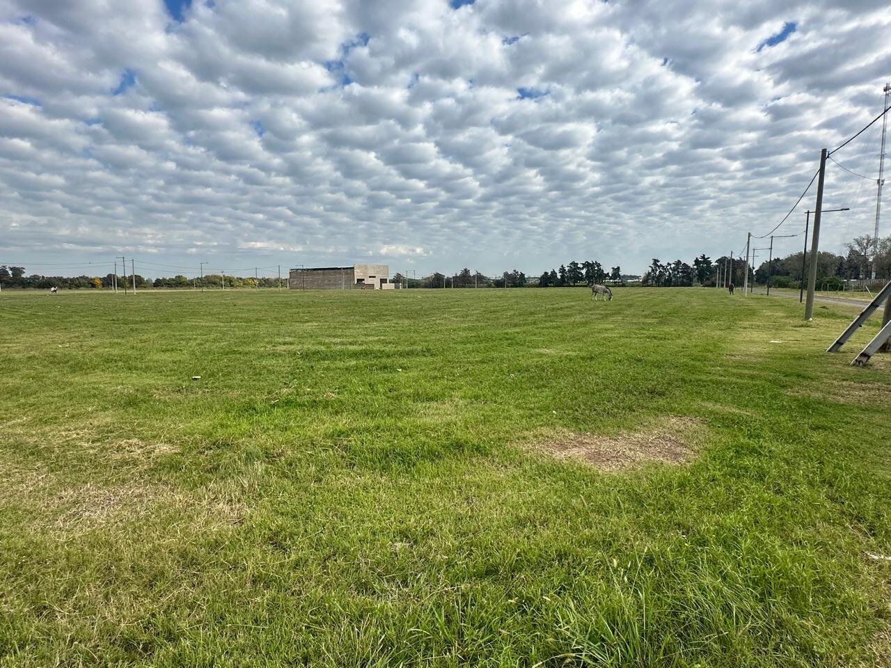 Venta terreno 650m2 en LOTEO INDUSTRIAL AREA UNO - ARROYO SECO - SANTA FE - Lote 26 - 28