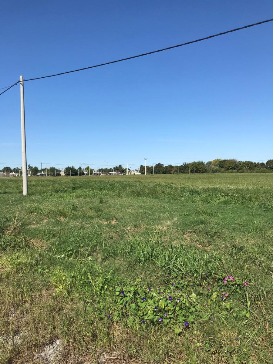 Venta terreno 650m2 en LOTEO INDUSTRIAL AREA UNO - ARROYO SECO - SANTA FE - Lote 26 - 8