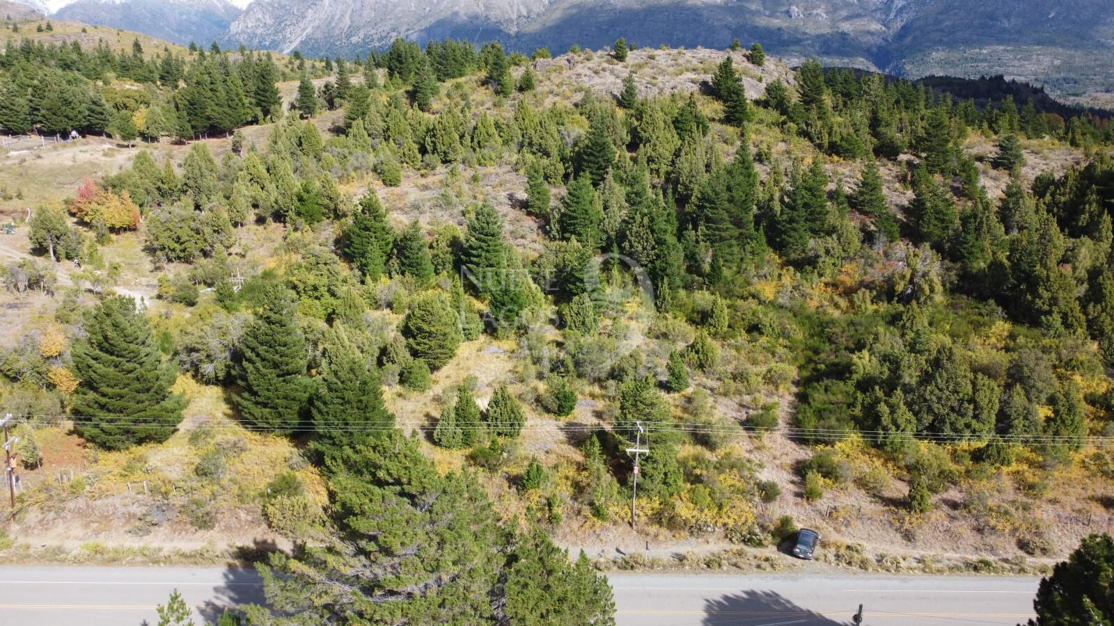 Venta fracción de 11 héctareas en Epuyén - 3