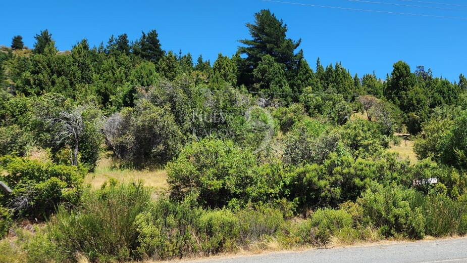 Venta fracción de 11 héctareas en Epuyén - 11
