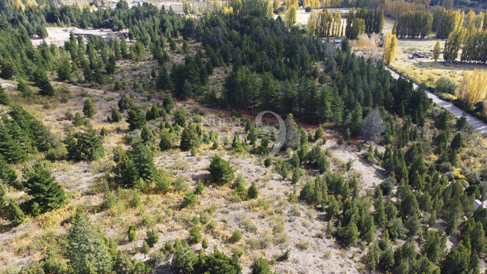 Venta fracción de 11 héctareas en Epuyén - 6