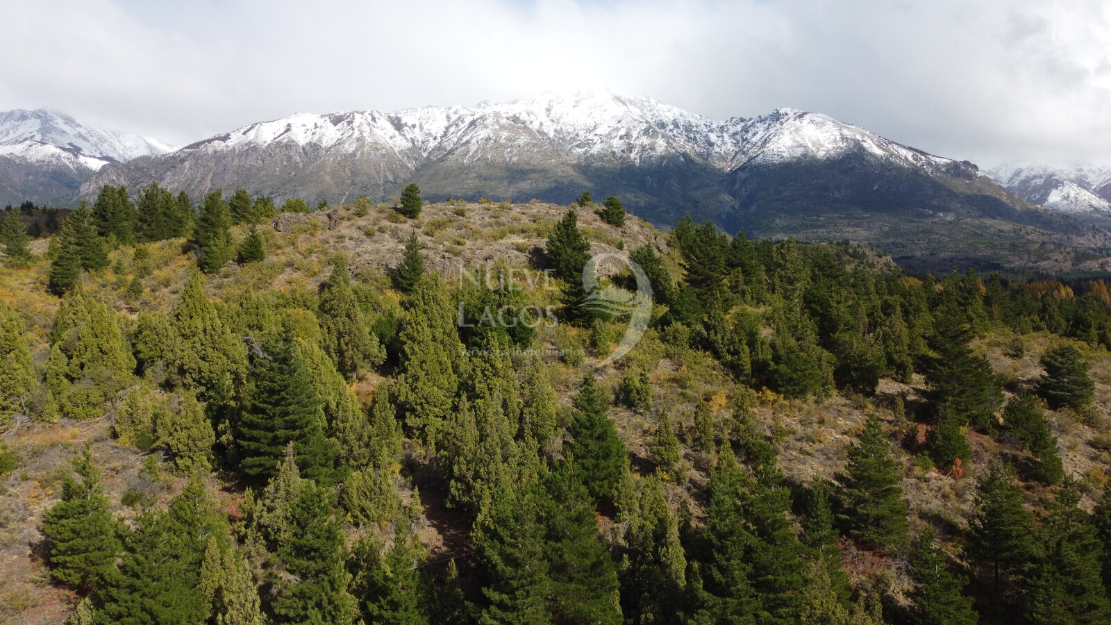 Venta fracción de 11 héctareas en Epuyén - 4