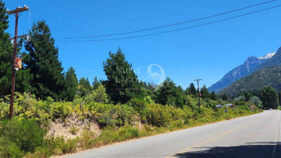 Venta fracción de 11 héctareas en Epuyén - 13