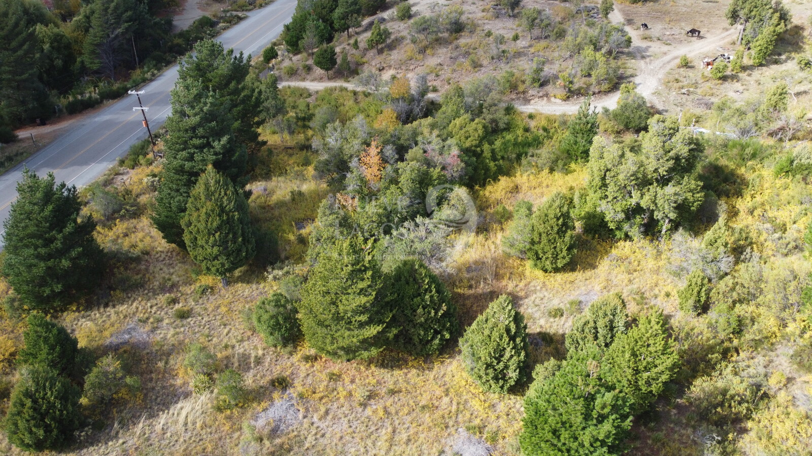 Venta fracción de 11 héctareas en Epuyén - 7