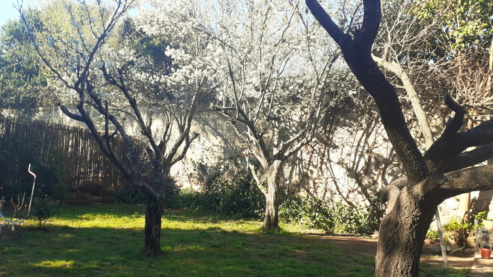 En venta Huerta Grande - 8