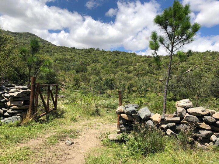 Chacras de Ambul - Campo de 52ha