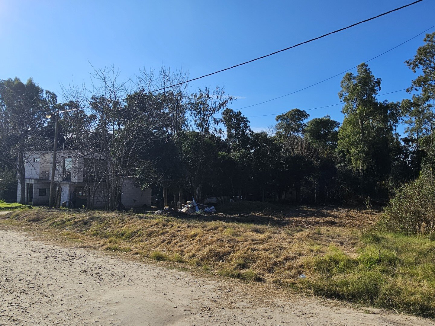 Lote inmerso en el bosque, lote 11 barrio El Molino - 1