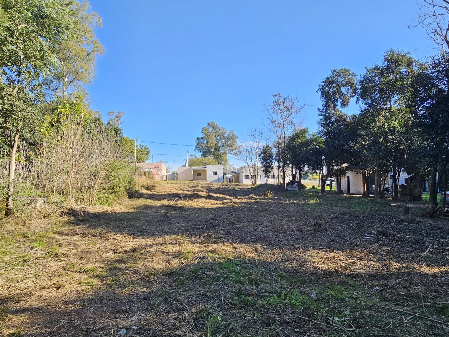 Lote inmerso en el bosque, lote 11 barrio El Molino — foto 7