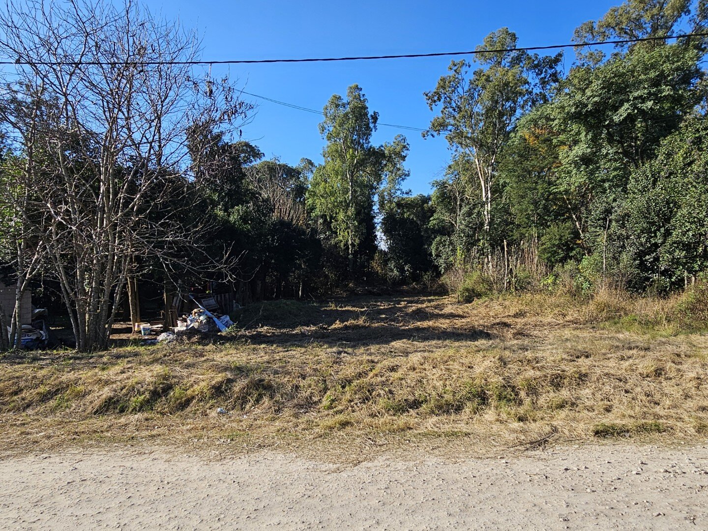 Lote inmerso en el bosque, lote 11 barrio El Molino — foto 2